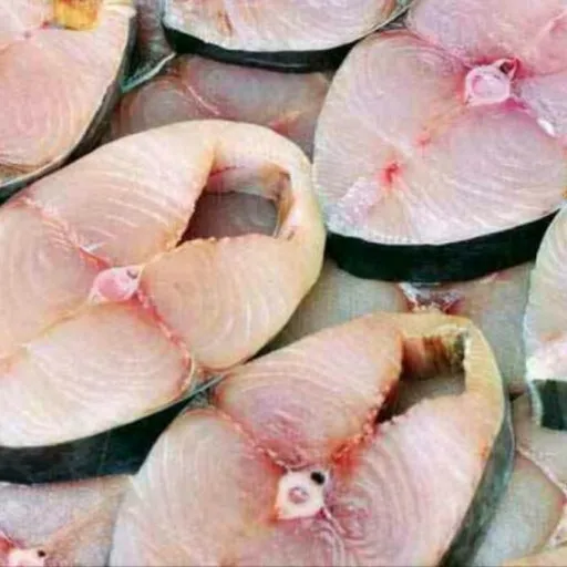 فروش ماهی شیر